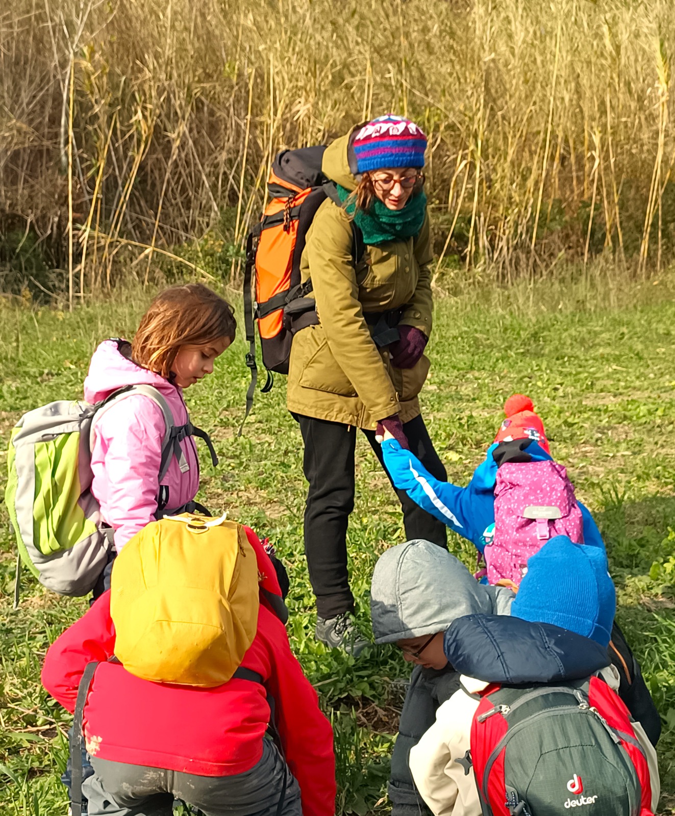 img home scuola nel bosco ancona02