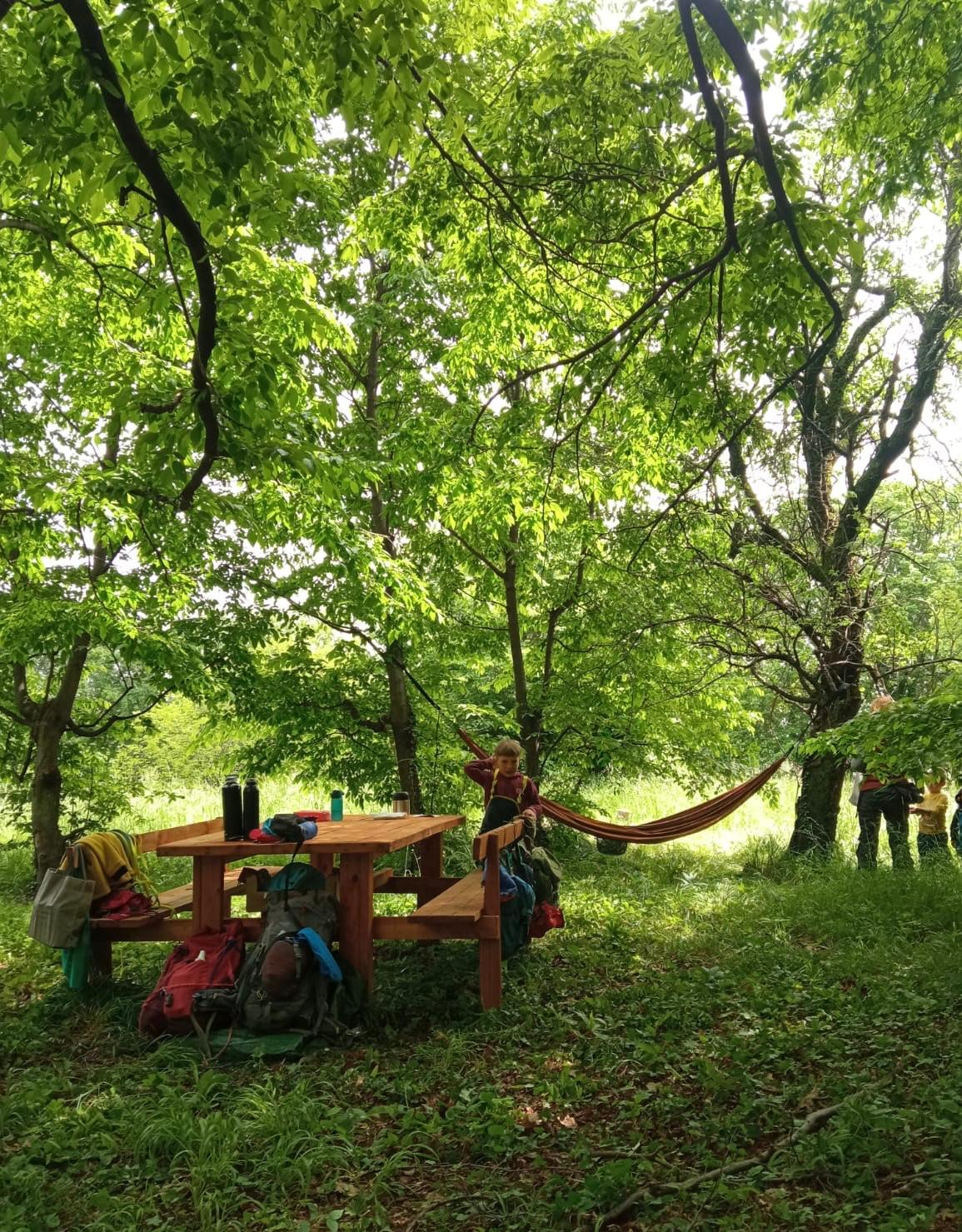 img home scuola nel bosco marostica01