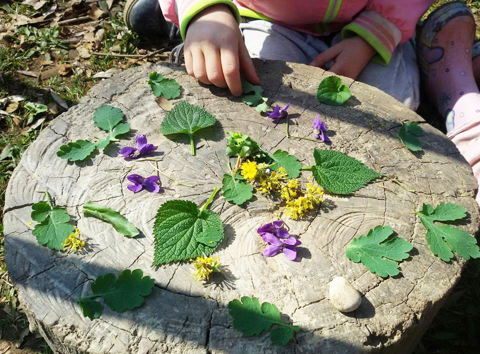 img home scuola altavilla04