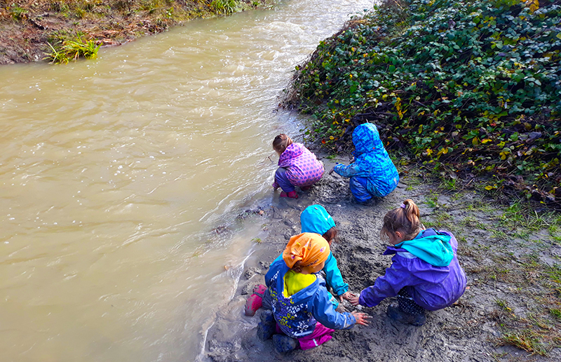 img home scuola pecorile03