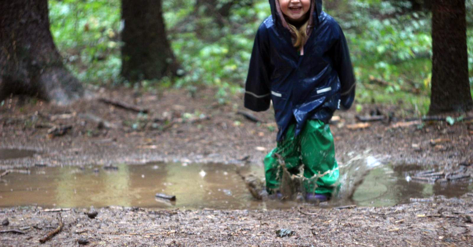 img home scuola trento05
