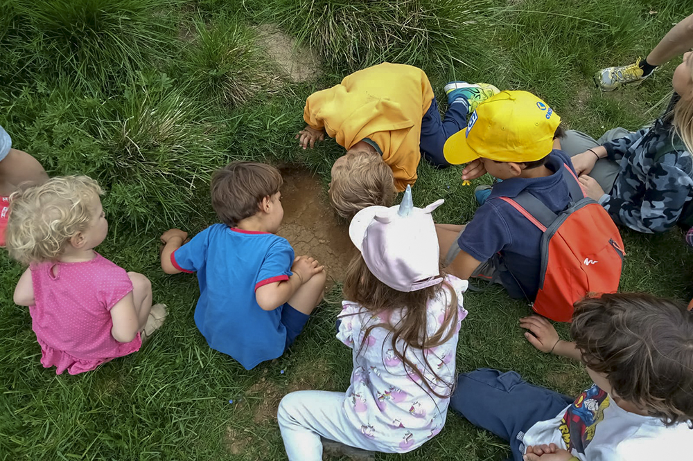 canalescuola laboratori bat lessinia 010