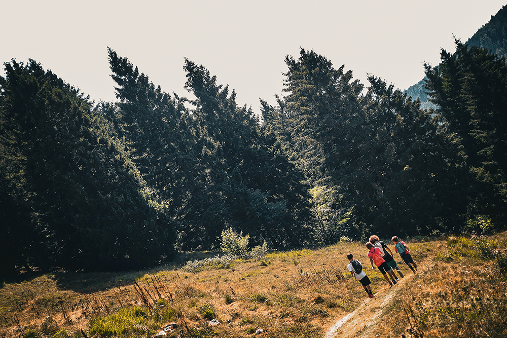 canalescuola laboratori bat lessinia 011